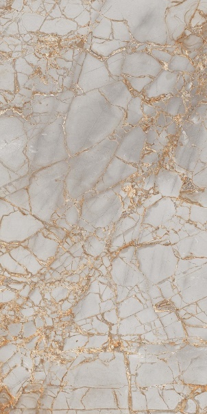 Керамогранит Primavera Golden Grey